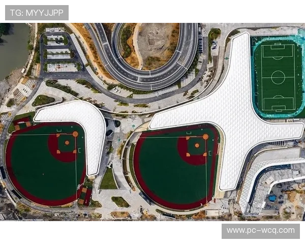 垒球文化展示区亮相社区活动 讲述项目起源与发展历程 垒球文化展示区亮相社区活动 讲述项目起源与发展历程